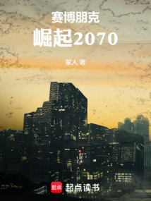 賽博朋克:崛起2070