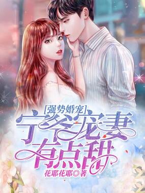 强势婚宠,宁爷宠妻有点甜在线阅读