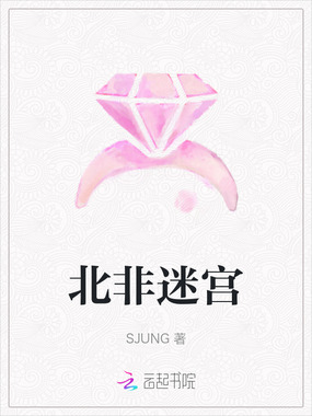 北非迷宫在线阅读