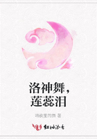 洛神舞，蓮蕊淚在線閱讀