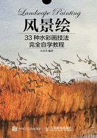 风景绘：33种水彩画技法完全自学教程在线阅读