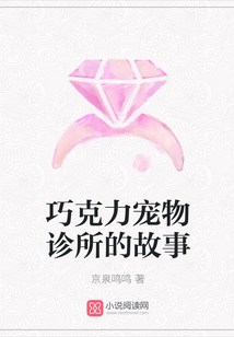 巧克力宠物诊所的故事