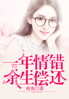 一年情錯，余生償還在線閱讀