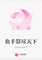 負手算盡天下在線閱讀