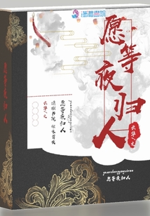 愿等夜歸人