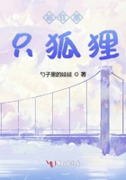 站住那只狐狸在线阅读