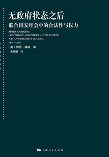 無政府狀態(tài)之后:聯(lián)合國安理會中的合法性與權(quán)力