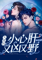 大佬的小心肝又凶又野在线阅读