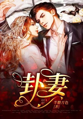 卦妻在线阅读