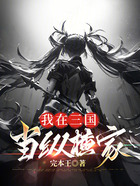 我在三国当纵横家