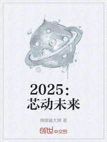 2025：芯动未来