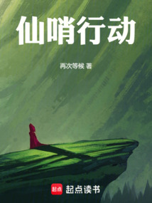 仙哨行動