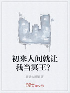 初来人间就让我当冥王?在线阅读