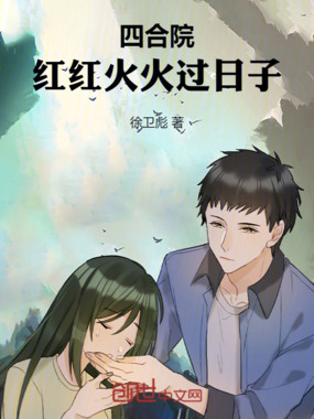 四合院：红红火火过日子在线阅读