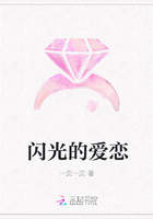 閃光的愛戀在線閱讀