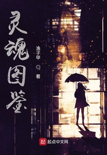 靈魂圖鑒