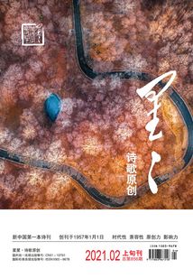 星星·詩歌原創（2021年第2期）