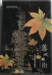 落風的街