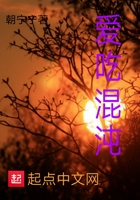 混沌之道陰陽在線閱讀