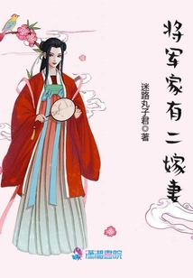 將軍家有二嫁妻