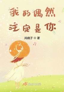我的偶然注定是你