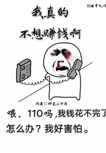 I Really Don't Want to Make Money