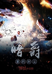 暗爵里的封塵