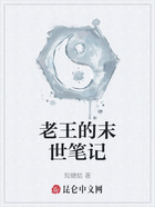 老王的末世筆記在線閱讀