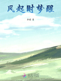 風起時夢醒