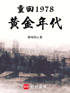 重回1978黄金年代在线阅读
