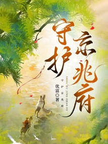 守护京兆府 封面