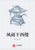 風(fēng)雨下西樓在線閱讀