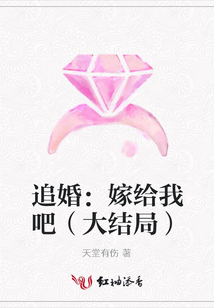 追婚:嫁給我吧(大結局)