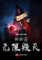 网游之无限毁灭在线阅读