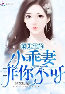 蕭先生的小乖妻非你不可