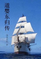 道婴东归传