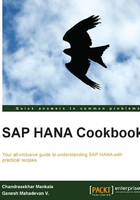 SAP HANA Cookbook在线阅读