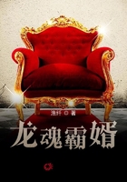 龙魂霸婿