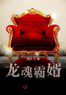 龍魂霸婿