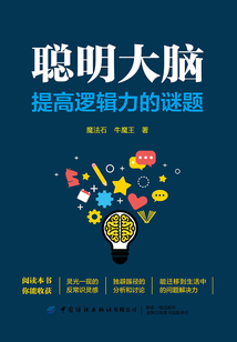 聰明大腦：提高邏輯力的謎題