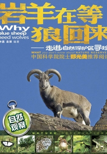 巖羊在等狼回來：走進自然保護區尋珍