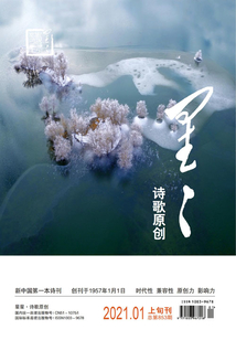 星星·詩歌原創（2021年第1期）