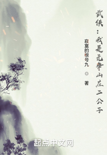 武俠：我是無爭山莊二公子