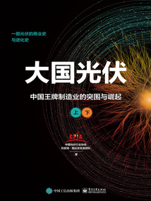 大國光伏:中國王牌制造業的突圍與崛起(全2冊)