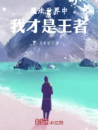 魔法世界中我才是王者在线阅读