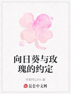 向日葵与玫瑰的约定在线阅读