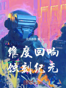 維度回響:蝕刻紀元