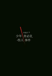 少年查必良傷人事件