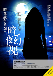 暗夜戰(zhàn)爭(zhēng)系列1:暗夜幻視
