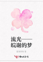 流光——皖謝的夢在線閱讀